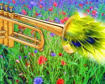 Blumige Fanfare
