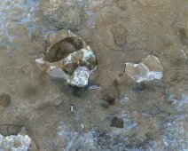 Foto-Negativ einer gefrorenen Pfütze