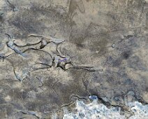 Foto-Negativ einer gefrorenen Pfütze