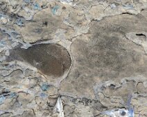 Foto-Negativ einer gefrorenen Pfütze