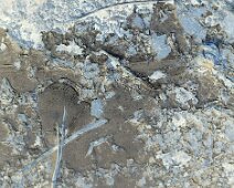 Foto-Negativ einer gefrorenen Pfütze