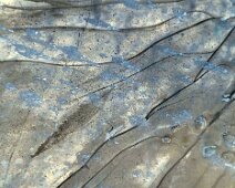 Foto-Negativ einer gefrorenen Pfütze