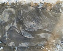 Foto-Negativ einer gefrorenen Pfütze