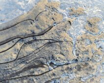 Foto-Negativ einer gefrorenen Pfütze