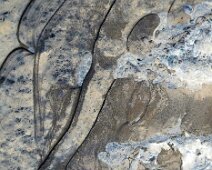 Foto-Negativ einer gefrorenen Pfütze