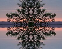 Künstliche Spiegelung