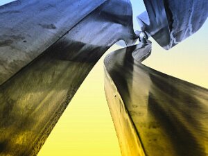 Plastiken und Skulpturen "Skulptur ist die Kunst der Buckel und Höhlungen, die Kunst, die Formen im Spiel von Licht und Schatten darzustellen."...