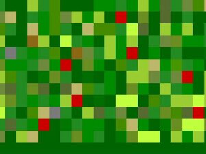 Textbilder Grundlage meiner Textbilder sind Texte diverser Autorinnen und Autoren, die ich in ein von mir erstelltes Programm...