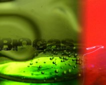 Biogas