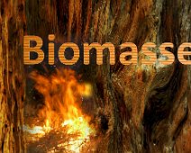 Biomasse