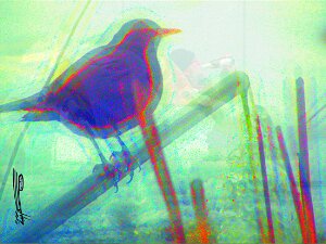 Die im Schatten sieht man nicht Die Fotocollagen zeigen soziale und gesellschaftliche Zerrbilder, die u.a. durch Wirtschafts- und Finanzkrisen verstärkt...