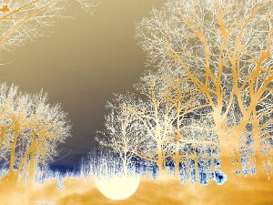 Endlich am Holzweg 2 Holz (von germanisch "holta") ist einer der wichtigsten Rohstoffe und - nachdem Österreich zu fast 50% bewaldet ist -...