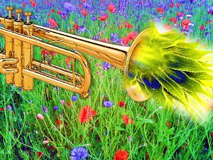 Klangbilder Musik und Seele haben viel gemeinsam: Beide sind unsichtbar, auf's engste verbunden und machen uns lebendig. Obwohl...