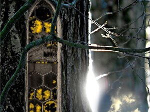 Mensch-Natur-Glaube "Mensch" meint den Homo sapiens, also den sog. "einsichtsfähigen, weisen Menschen". "Natur" stammt vom lateinischen...