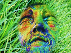 Naturgeister "Es gibt mehr Ding' im Himmel und auf Erd', als Eure Schulweisheit sich träumt" meinte schon Horatio im Hamlet. Da haben...