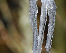 Eiszeit