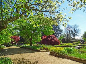 Gartenimpressionen