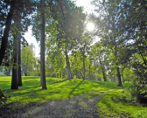 Gartenimpressionen