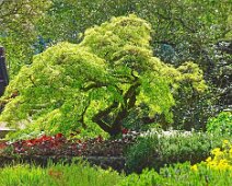 Gartenimpressionen