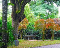 Gartenimpressionen