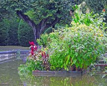 Gartenimpressionen