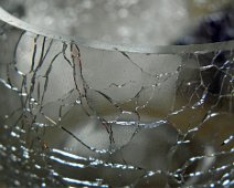 Glas