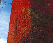 Herbstlich