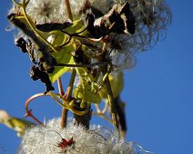 Herbstlich