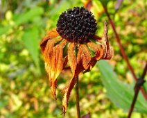 Herbstlich