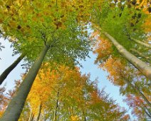 Herbstlich