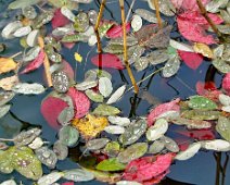 Herbstlich