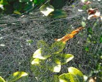 Herbstlich