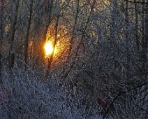 Wintersonnenwende
