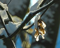 Lebenshelfer Licht