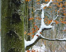 Winterlaub