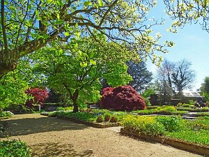 Gartenimpressionen "Dumme rennen, Kluge warten, Weise gehen in den Garten." Rabindranath Tagore (bengalischer Philosoph)