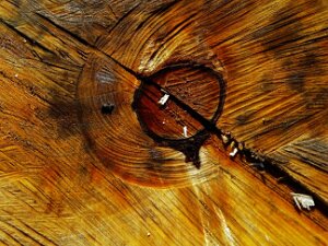 Holzig Holz: Vielgestaltig und wandelbar.