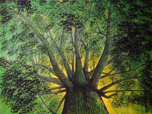 Endlich am Holzweg-3 Nicht erst seit "Waldbaden" modern wurde; Wald und Holz sind mir seit Kindesbeinen an ans Herz gewachsen: Ein wichtiger...